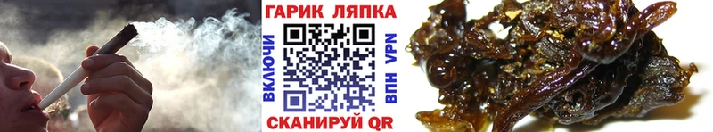 Гашиш Cannabis  Динская 