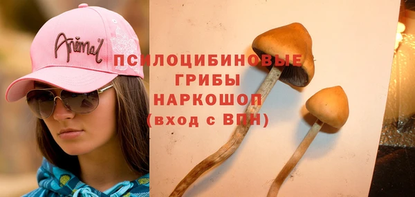 spice Арсеньев