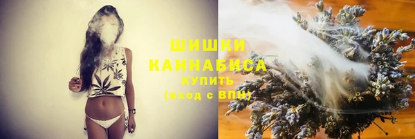 spice Арсеньев