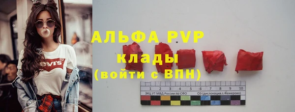spice Арсеньев
