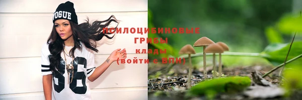 стаф Балабаново