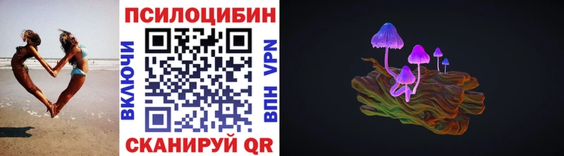 где найти наркотики  Динская  Псилоцибиновые грибы Cubensis 